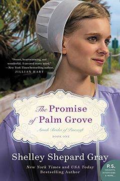 portada The Promise of Palm Grove: Amish Brides of Pinecraft, Book One (in English)