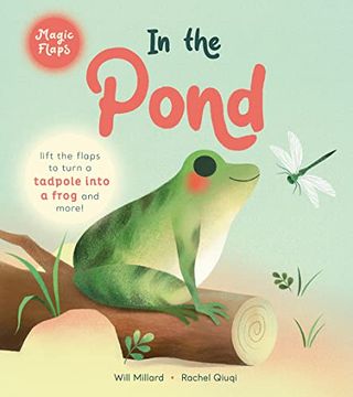 portada In the Pond: A Magic Flaps Book 