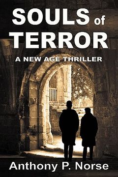 portada souls of terror - a new age thriller (en Inglés)