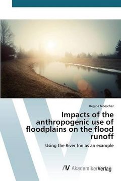 portada Impacts of the anthropogenic use of floodplains on the flood runoff