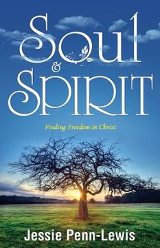 portada soul & spirit (in English)