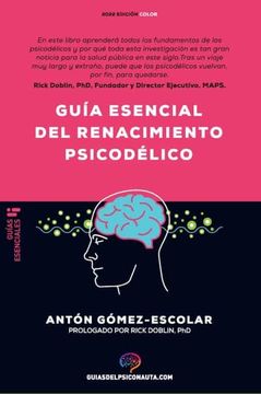 portada Guia Esencial de Renacimiento Psicodelico (in Spanish)
