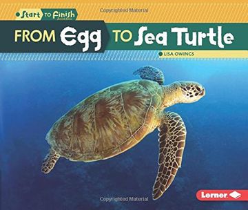 portada From Egg to Sea Turtle (Start to Finish, Second)