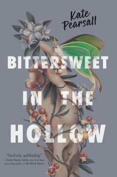 portada Bittersweet in the Hollow (en Inglés)