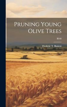 portada Pruning Young Olive Trees; B348 (in English)