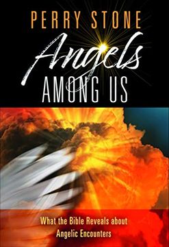 portada Angels Among us: What the Bible Reveals About Angelic Encounters (en Inglés)