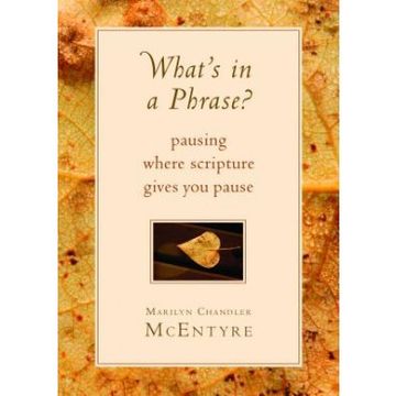 portada What's in a Phrase? Pausing Where Scripture Gives you Pause (en Inglés)