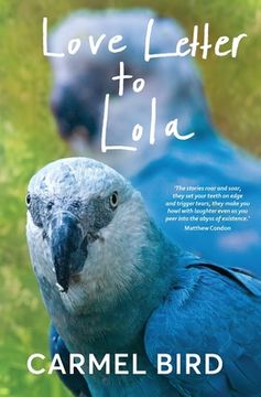portada Love Letter to Lola (en Inglés)