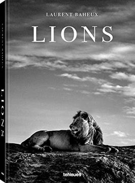 portada Lions (in English)