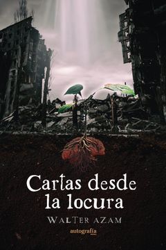 portada Cartas Desde la Locura (in Spanish)