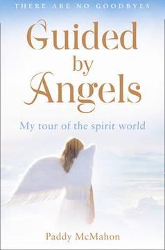 portada guided by angels: my tour of the spirit world