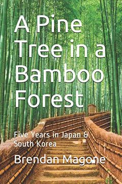 portada A Pine Tree in a Bamboo Forest: Five Years in Japan & South Korea (en Inglés)