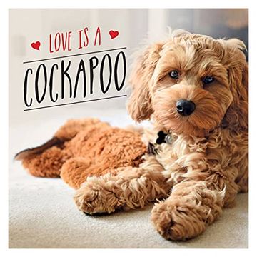 portada Love is a Cockapoo: A Dog-Tastic Celebration of the World'S Cutest Breed (en Inglés)