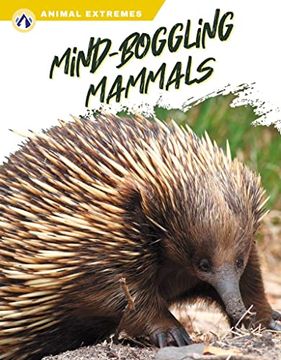 portada Mind-Boggling Mammals (en Inglés)