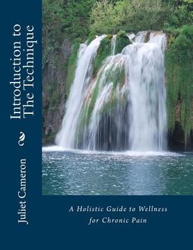 portada Introduction to The Technique: A Holistic Guide to Wellness for Chronic Pain (en Inglés)
