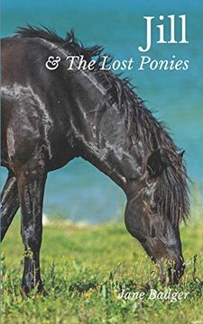 portada Jill and the Lost Ponies: What Happened Next: 1 (The Jill Crewe Stories) (en Inglés)