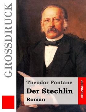 portada Der Stechlin (Großdruck) (in German)