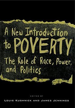 portada A new Introduction to Poverty: The Role of Race, Power and Politics (in English)
