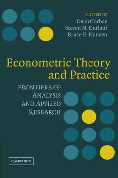 portada Econometric Theory and Practice: Frontiers of Analysis and Applied Research (en Inglés)