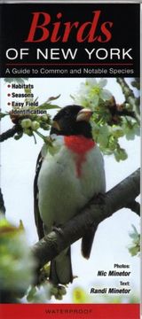 portada Birds of New York: A Guide to Common & Notable Species