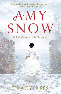 portada Amy Snow: The Richard & Judy Bestseller (in English)