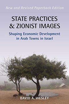 portada State Practices and Zionist Images: Shaping Economic Development in Arab Towns in Israel (en Inglés)