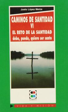 portada Caminos de santidad VI: El reto en la santidad: debo, puedo, quiero ser santo (Vida y Misión)