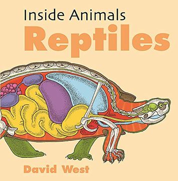 portada Reptiles (Inside Animals) (en Inglés)