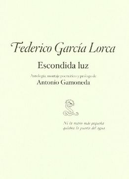 portada Escondida Luz (in Spanish)