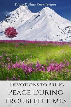 portada Devotions to Bring Peace During Troubled Times