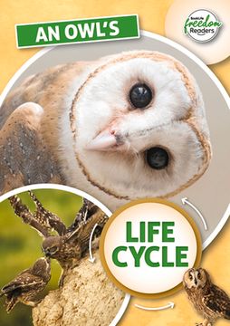 portada An Owl's Life Cycle (en Inglés)