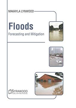 portada Floods: Forecasting and Mitigation