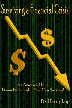 portada Surviving A Financial Crisis: As America Melts Down Financially You Can Survive! (en Inglés)