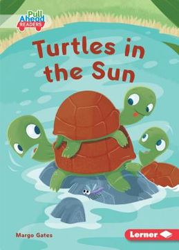 portada Turtles in the Sun