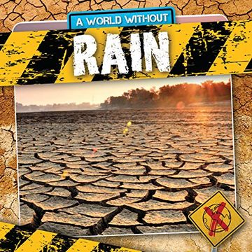 portada Rain (a World Without) (in English)