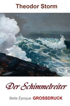 portada Der Schimmelreiter - Grossdruck (German Edition)
