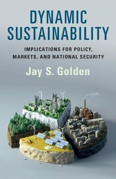 portada Dynamic Sustainability: Implications for Policy, Markets and National Security (en Inglés)