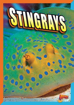 portada Stingrays (en Inglés)