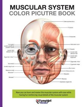 portada Muscular System Color Picture Book: Beautiful illustrations with concisely and clearly readable labels (en Inglés)