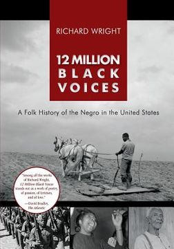 portada 12 Million Black Voices