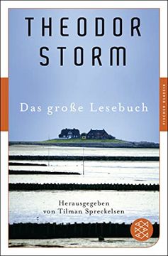 portada Das Große Lesebuch (Fischer Klassik) (en Alemán)