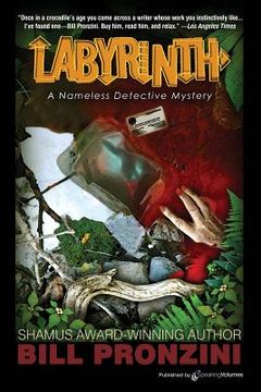 portada Labyrinth: The Nameless Detective (en Inglés)