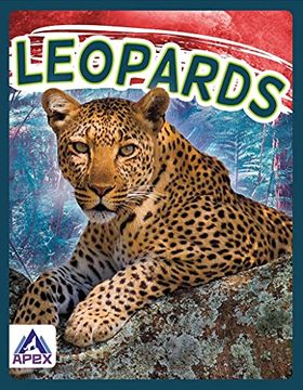 portada Wild Cats: Leopards (en Inglés)