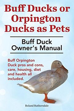 portada Buff Ducks or Buff Orpington Ducks as Pets. Buff Duck Owner's Manual. Buff Orpington Duck Pros and Cons, Care, Housing, Diet and Health All Included.