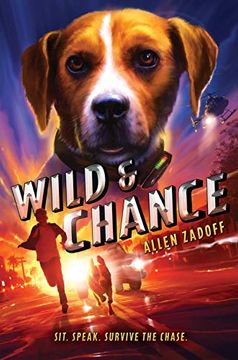 portada Wild & Chance (in English)