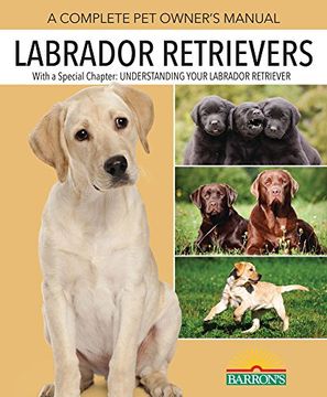 portada Labrador Retrievers (en Inglés)