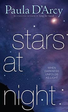 portada Stars at Night: When Darkness Unfolds as Light (in English)