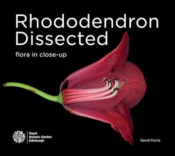 portada Rhododendron Dissected: Flora in Close-Up (en Inglés)