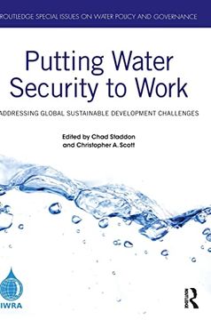 portada Putting Water Security to Work: Addressing Global Sustainable Development Challenges (Routledge Special Issues on Water Policy and Governance) (en Inglés)