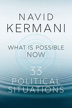 portada What is Possible Now: 33 Political Situations 